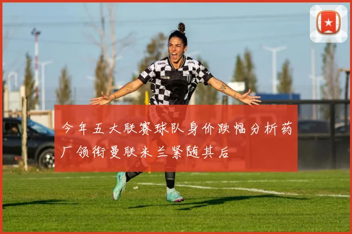 今年五大联赛球队身价跌幅分析药厂领衔曼联米兰紧随其后